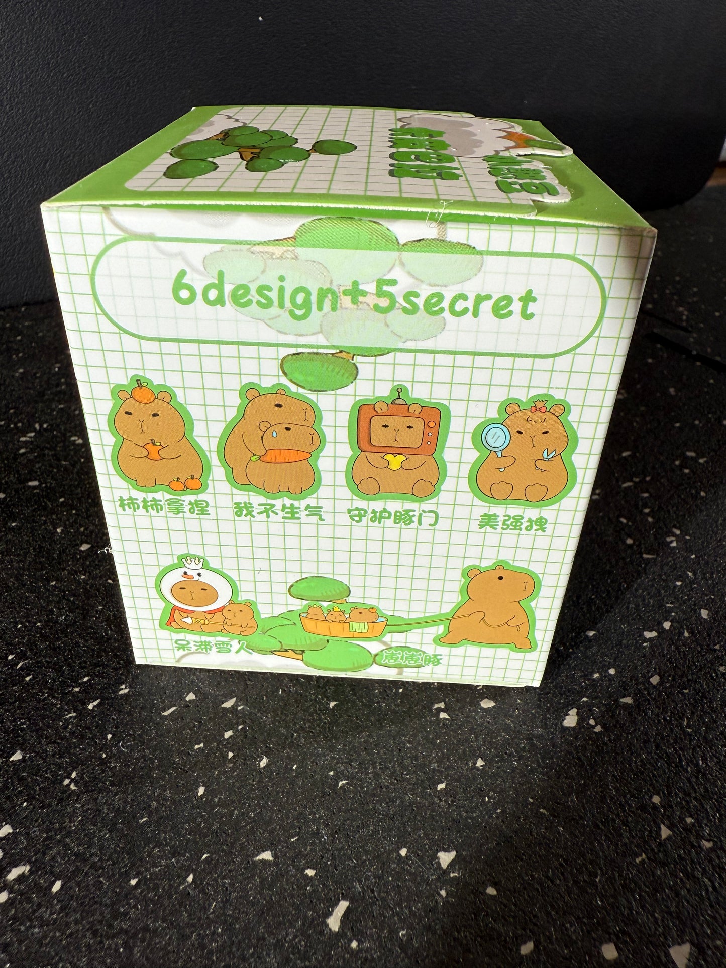 Cute Capybara Blind Box