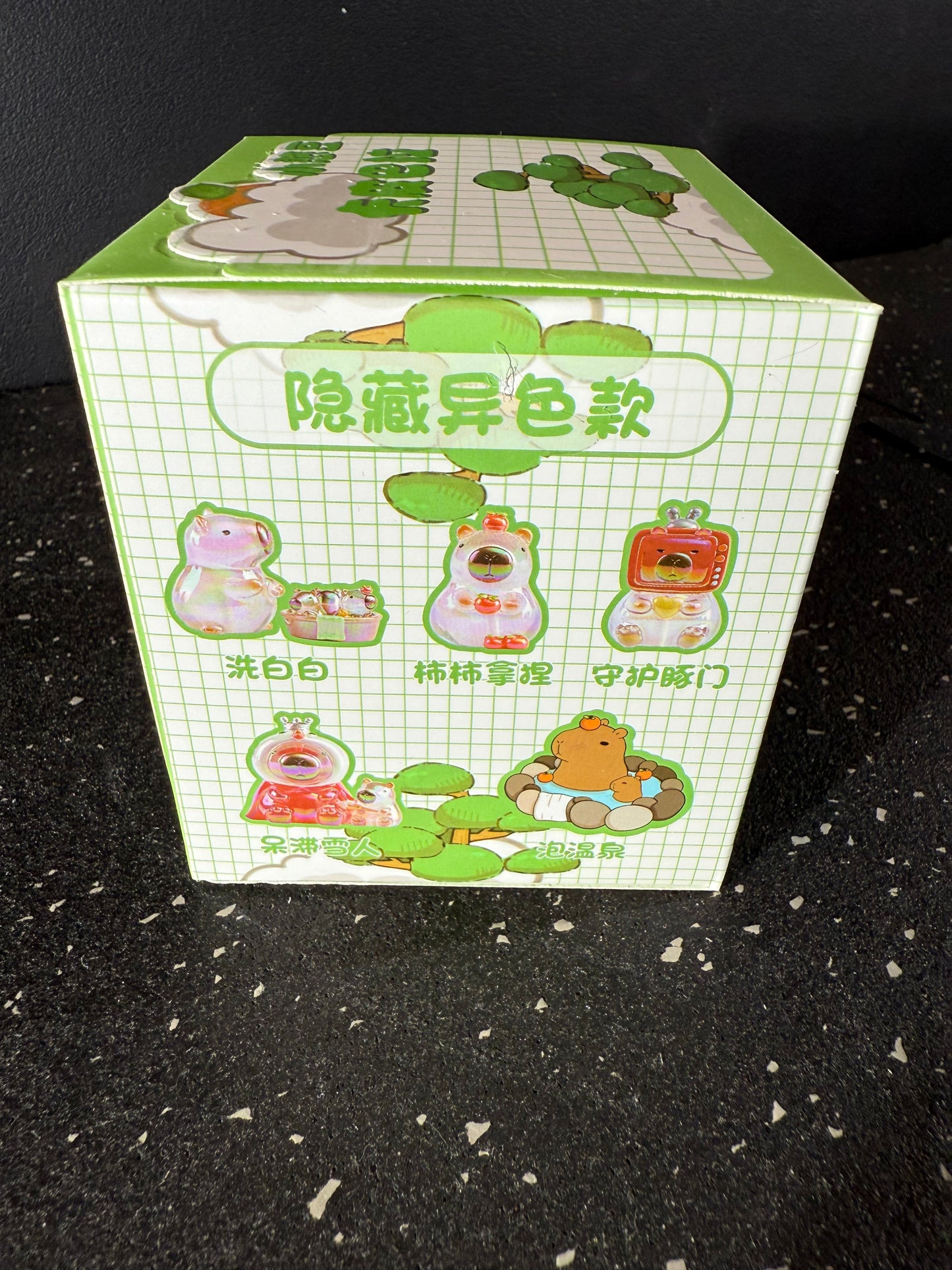 Cute Capybara Blind Box
