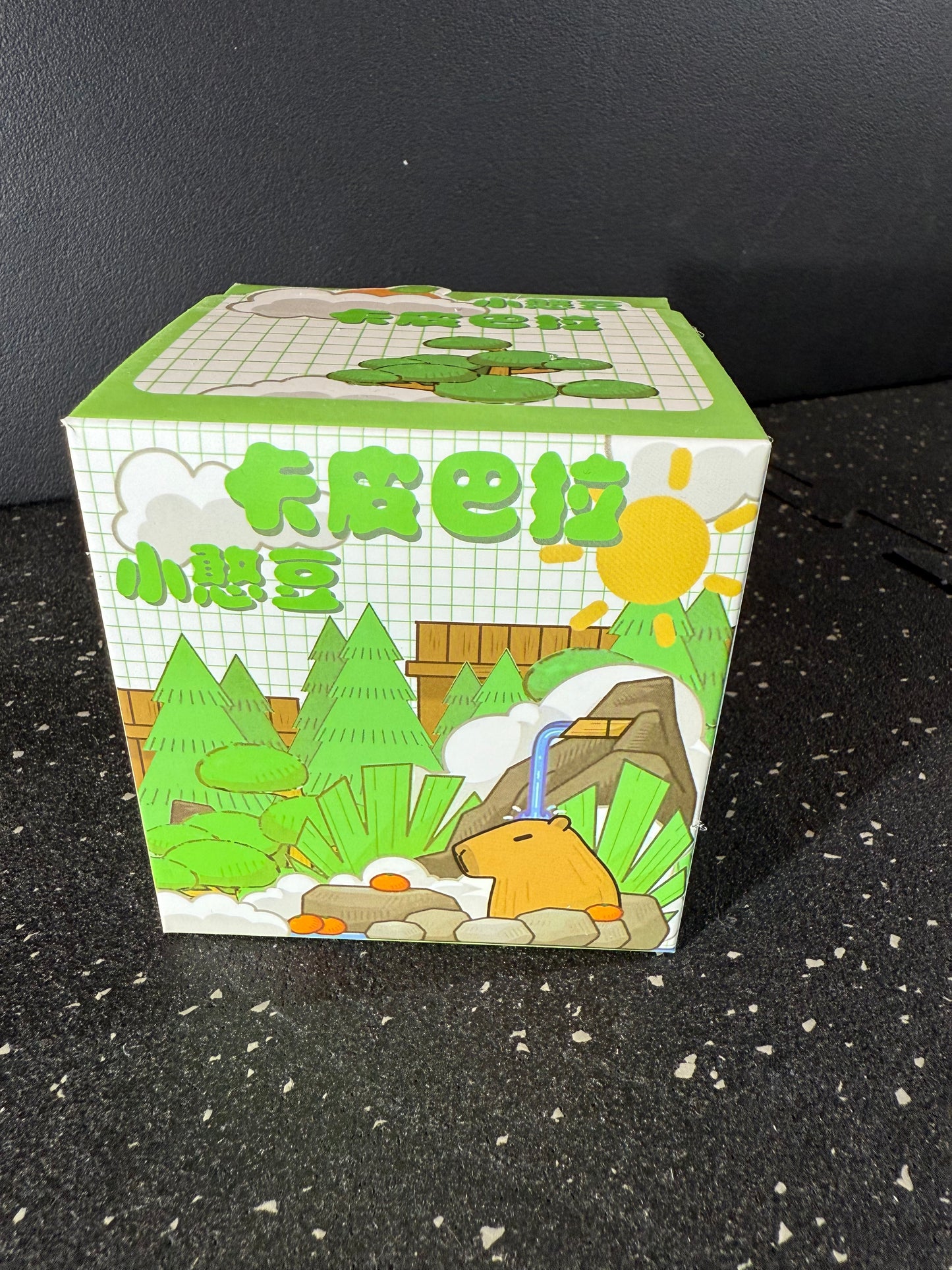 Cute Capybara Blind Box