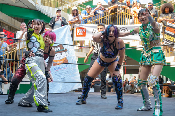Yuki Aino and Vert Vixen vs. Suzume and Shino Suzuki
