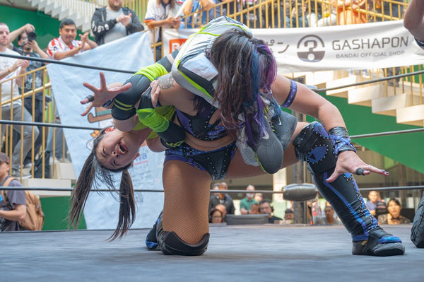 Yuki Aino and Vert Vixen vs. Suzume and Shino Suzuki
